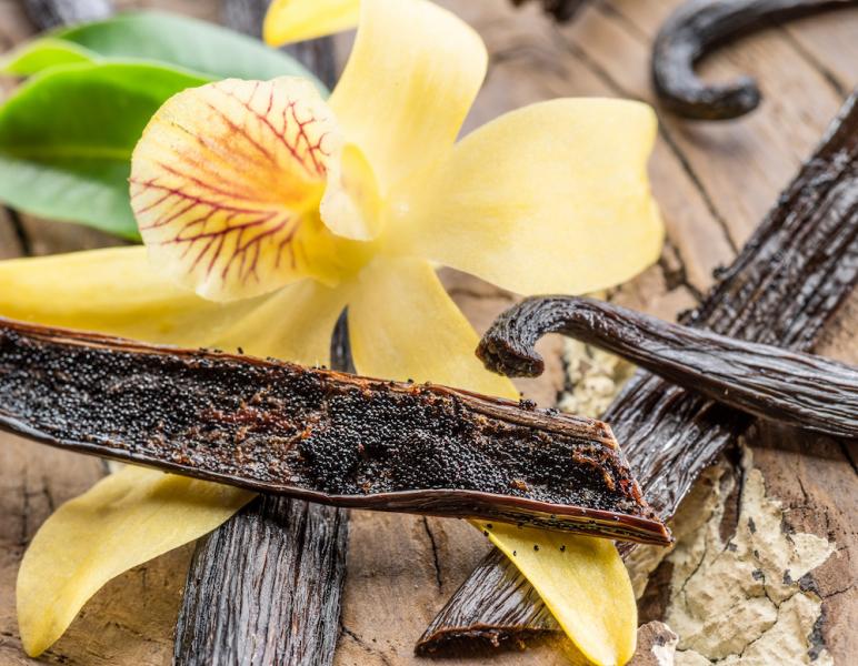 The Medicinal Value of Vanilla