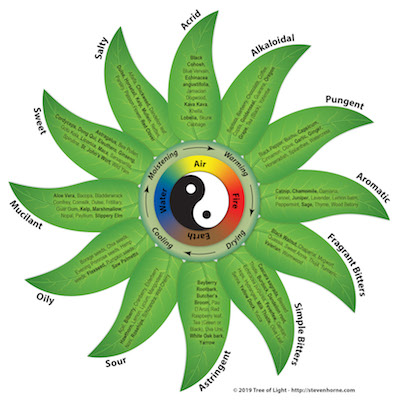 An Introduction to Herbal Energetics