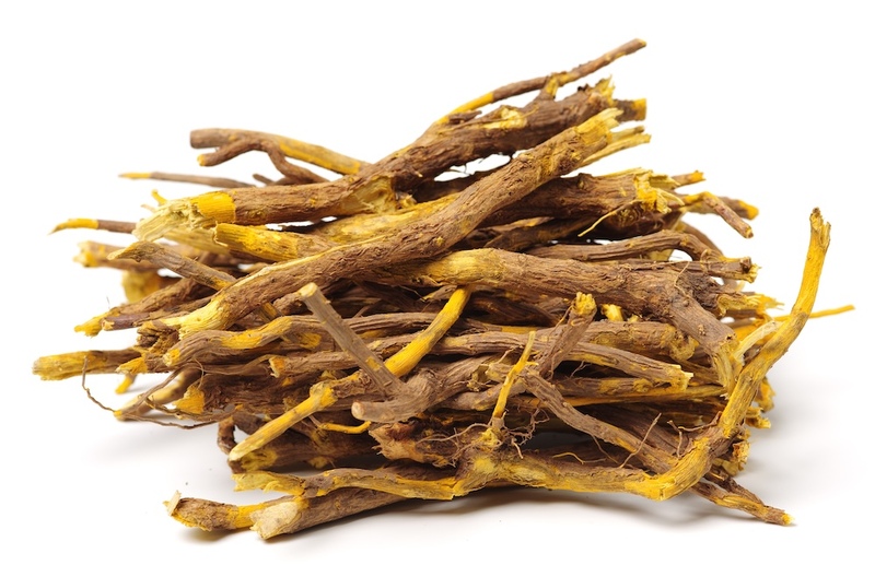 Goldenthread, Phellodendron, and Yellow Root