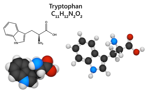 The Effects of Tryptophan on Health and Mood