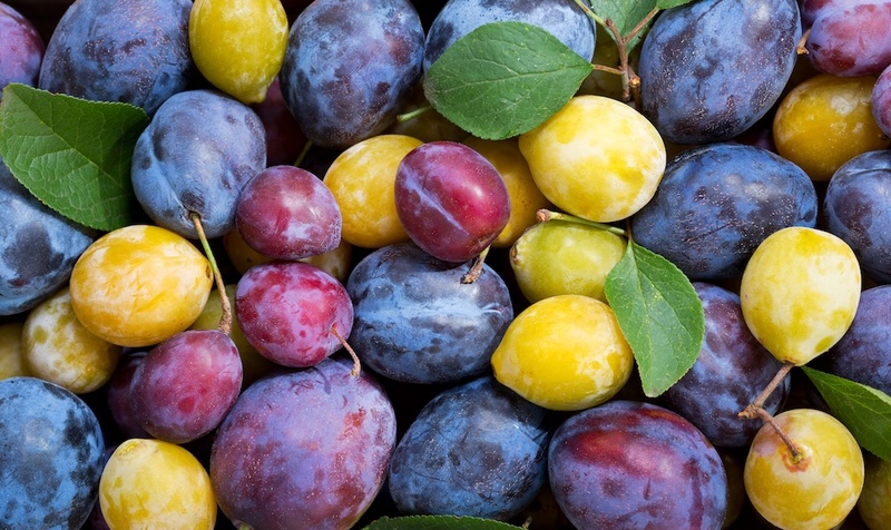 Prunes and Plums