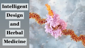 Intelligent Design and Herbal Medicine